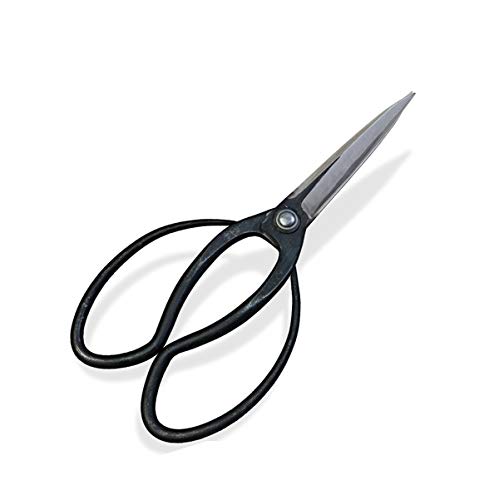 ハイス鋼　植木鋏　剣印 ハイス鋼 彫刻刀 印刀(右) 3mm | ワックス・鋳造,ワックス用工具